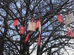 -硗碛藏寨·神木垒景区