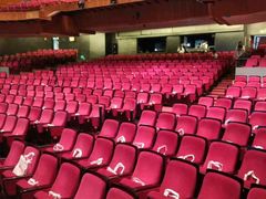 -顺德演艺中心大剧院