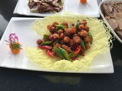 -云中小雅