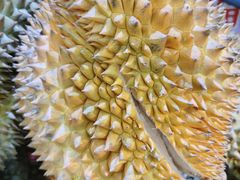 -港华水果街(港华广场店)