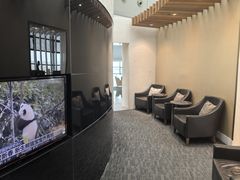 -虹桥机场国航贵宾室v8