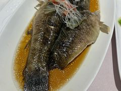笋壳鱼-光明邨大酒家(汇阳广场店)
