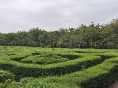 -大屏嶂森林公园