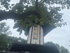 -上海佘山国家森林公园天马山园