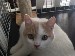 -白衬衫照相馆(五彩店)