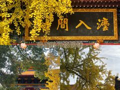 -宝通禅寺