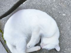 -敬亭山风景名胜区