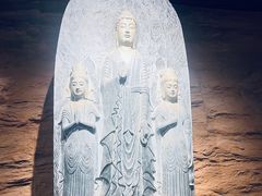 -平原博物院