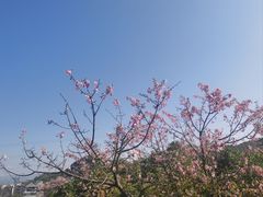 -福道