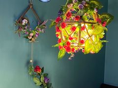 -忘忧草融合私房菜(红鼎国际店)
