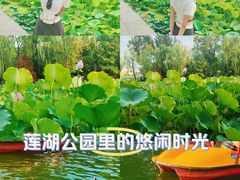 -莲湖公园