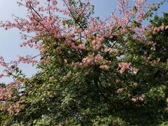 -海港城购物中心