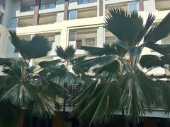 -三亚海棠湾万丽度假酒店