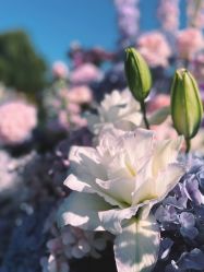 -鸿禧国际高尔夫俱乐部婚宴·草坪婚礼·宴会厅