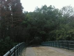 -解放公园