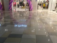 -鹏欣水游城