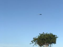 -红花山公园