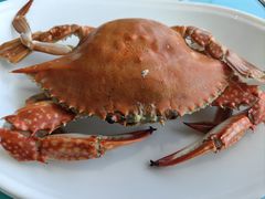 -大锅强·蒸海鲜青岛菜(金沙滩店)