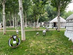 -九十九顶毡房(阜石路店)