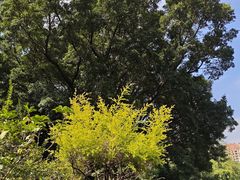 -晓港公园