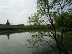 -大塘金香草谷