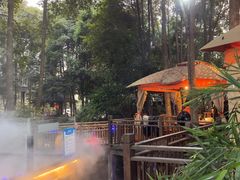 -二荆条·蜀鲜汇城市森林火锅