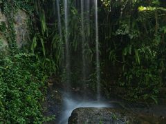 -鸿山公园