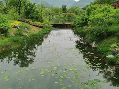 -雅达·阳羡溪山小镇中心