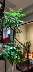 -香秀空间科技抗衰·美容中心