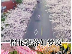 -高东镇樱花园