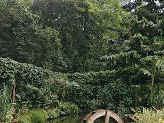 -中国科学院西双版纳热带植物园