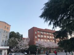 -TIMO COFFEE 阿拉校园面包