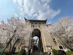 -武汉大学-樱园