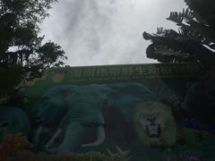 -海南热带野生动植物园