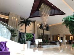 -常州环球恐龙城维景国际大酒店