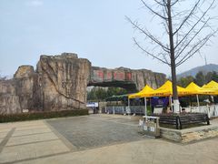 -合肥野生动物园