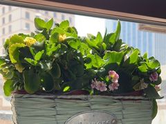 -八两八金·莱芜特色炒鸡(市南漳浦路店)