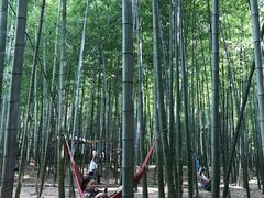 -陶祖圣境风景区