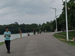 -仙湖旅游度假区