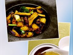 菩提树素食餐厅-菩提树·素食餐厅(汇智国际商业中心店)