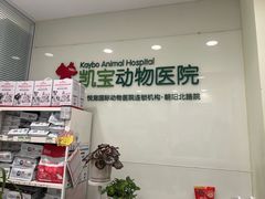 -悦宠凯宝动物医院·牙科·皮肤科(朝阳北路店)
