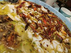 -姚姚酸菜鱼·金戈戈香港豉油鸡(喜荟城联名店)