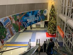 -达拉斯 沃斯堡国际机场