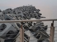 -东疆建设开发纪念公园