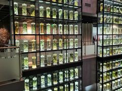 -广东中医药博物馆