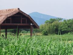 -良渚古城遗址公园