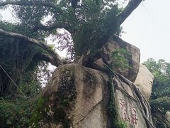 -南普陀寺