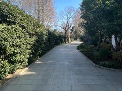 -上海醉白池公园