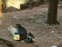-昆明动物园