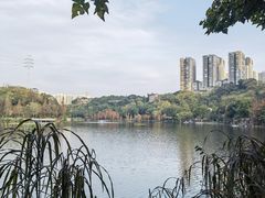-重庆彩云湖湿地公园